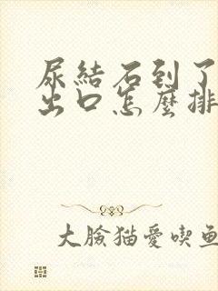 尿结石到了尿道出口怎么排出