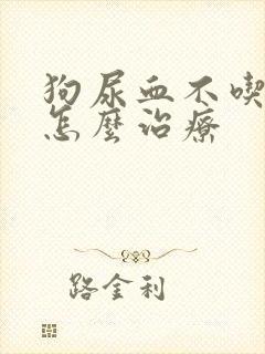 狗尿血不吃东西怎么治疗