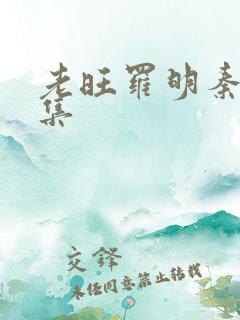 老旺罗明秦雨全集