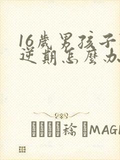 16岁男孩子叛逆期怎么办