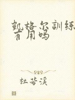 凯格尔训练器材有用吗