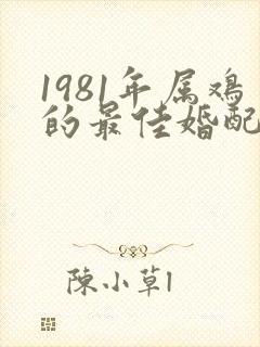 1981年属鸡的最佳婚配表