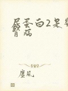 尿蛋白2是几期肾病