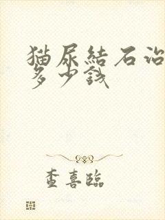 猫尿结石治疗要多少钱