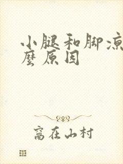 小腿和脚凉是什么原因