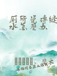 厕所瓷砖缝隙渗水怎么办