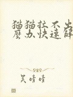 猫猫拉不出尿怎么办快速解决猫猫