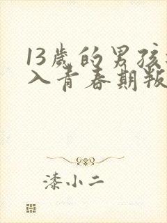 13岁的男孩进入青春期叛逆怎样管