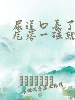 尿道口长了个肉疙瘩一碰就疼