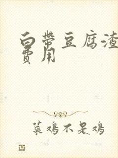 白带豆腐渣治疗费用