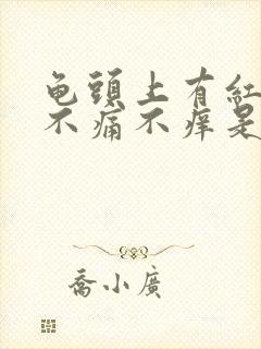 龟头上有红斑,不痛不痒是什么原因