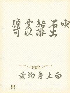 胆囊结石吃啥药可以排出