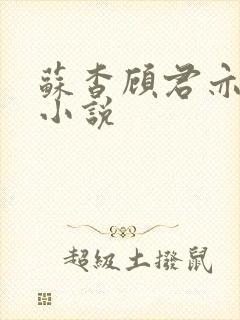 苏杳顾君亦阅读小说