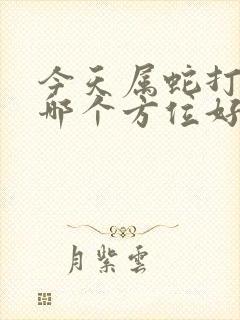 今天属蛇打牌坐哪个方位好