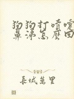 狗狗打喷嚏流黄鼻涕怎么回事