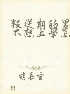 叛逆期的男孩子不想上学怎么办,不想沟通