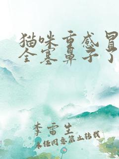 猫咪重感冒鼻涕全塞鼻子了怎么办