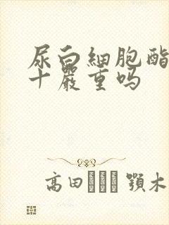 尿白细胞酯酶2十严重吗