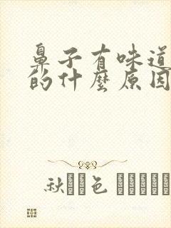 鼻子有味道是臭的什么原因