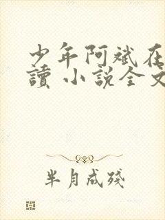 少年阿斌在线阅读 小说全文免费