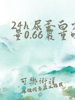 24h尿蛋白定量0.66严重吗