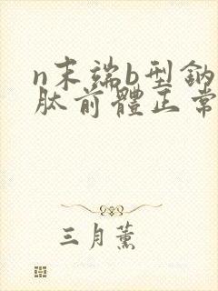 n末端b型钠尿肽前体正常值