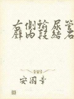 右侧输尿管膀胱壁内段结石在什么位置