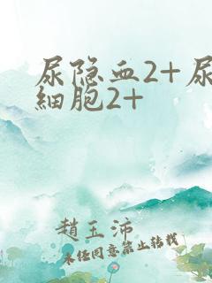 尿隐血2+尿白细胞2+