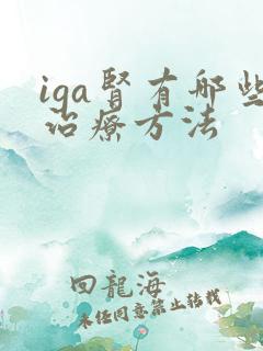 iga肾有哪些治疗方法