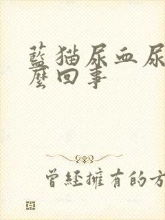 蓝猫尿血尿是怎么回事