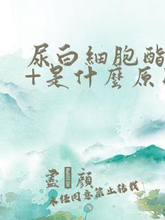 尿白细胞酯酶1+是什么原因