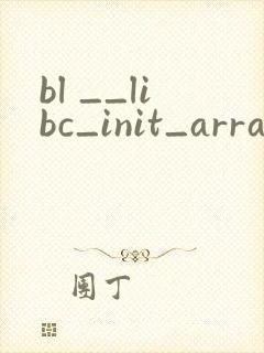 bl __libc_init_array