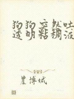 狗狗突然吐白色透明粘稠液体 怎么办