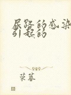 尿路的感染怎么引起的