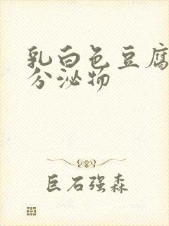 乳白色豆腐渣样分泌物