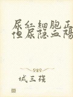 尿红细胞正常,但尿隐血阳性