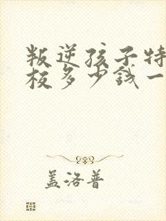 叛逆孩子特训学校多少钱一年