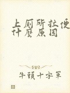 上厕所拉便血是什么原因