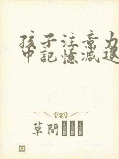 孩子注意力不集中记忆减退怎么回事