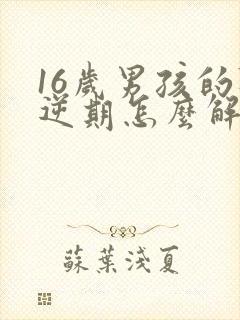 16岁男孩的叛逆期怎么解决