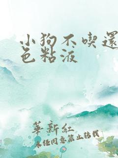 小狗不吃还吐白色粘液