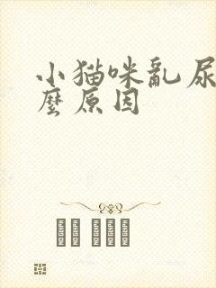 小猫咪乱尿是什么原因