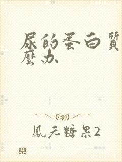 尿的蛋白质高怎么办