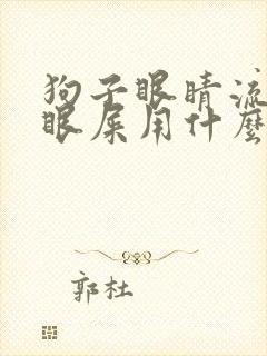 狗子眼睛流脓状眼屎用什么药