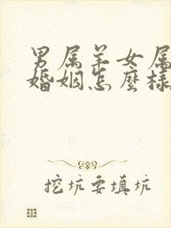 男属羊女属蛇的婚姻怎么样