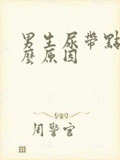 男生尿带点血什么原因