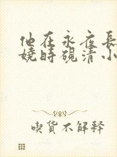 他在永夜长眠苏娆时砚清小说阅读