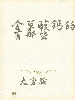 含草酸钙的食物有哪些