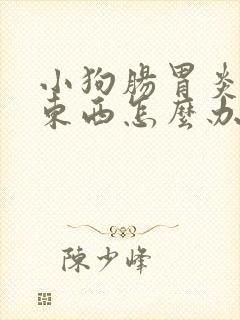 小狗肠胃炎不吃东西怎么办