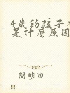 4岁的孩子不说是什么原因